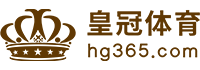 Logo 华体会hth